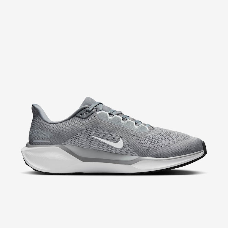 Tênis Nike Pegasus 41 Masculino