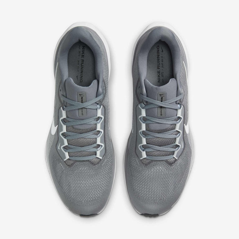 Tênis Nike Pegasus 41 Masculino