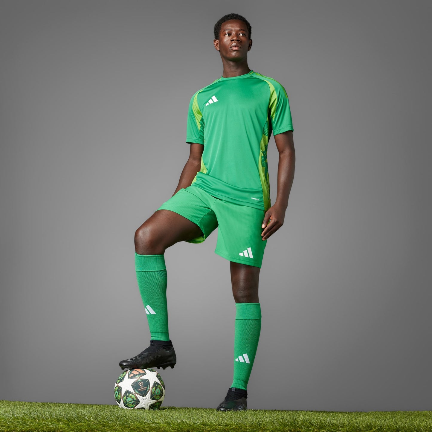 Bola Adidas Eliminatórias UCL Pro 24/25